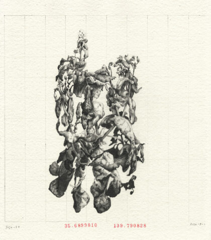 Louise Rouse, Artist, Drawing, Weeds in Tokyo