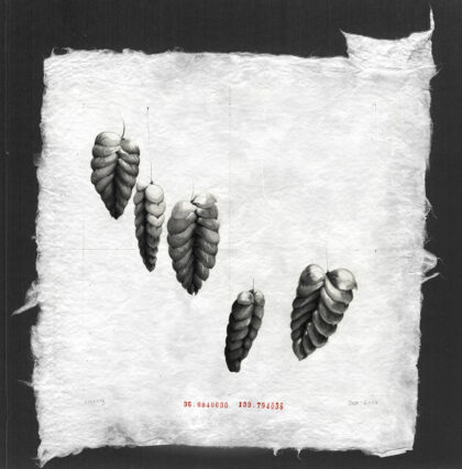 Portfolio image of Louise Rouse's artwork, graphite drawing on paper